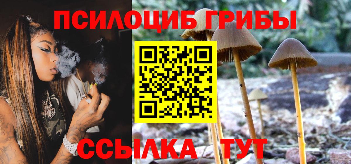 Галлюциногенные грибы Psilocybe  Вход с VPN  Ликино-Дулёво 